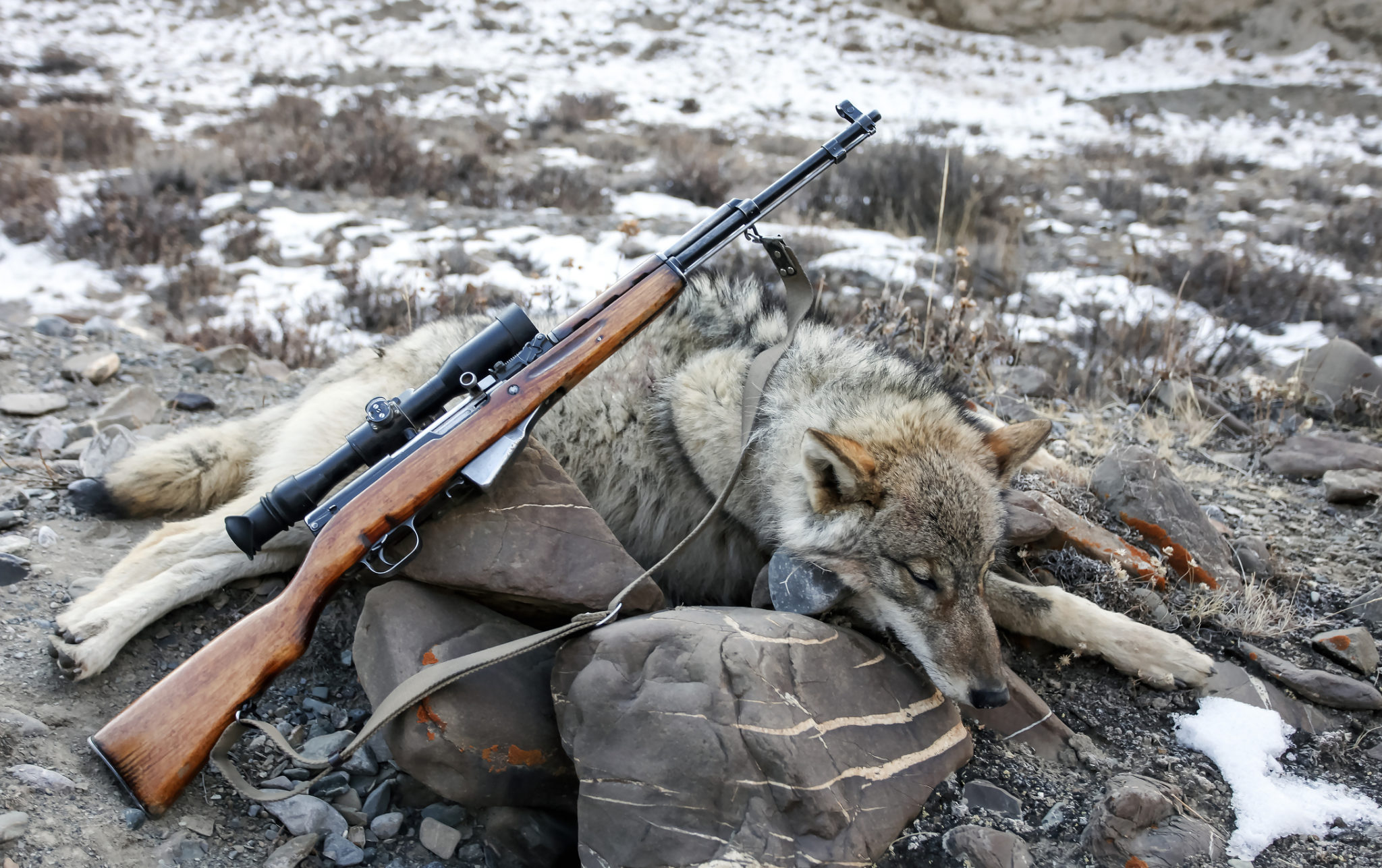 Hunting Violations Attorney Hunting Without A License Hunting